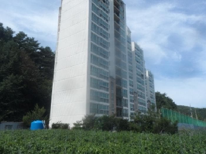 강원특별자치도 평창군 용평면 장평리 669-1  1층101호