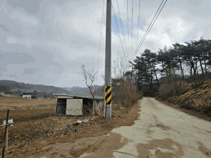 강원특별자치도 평창군 대관령면 용산리 293-8