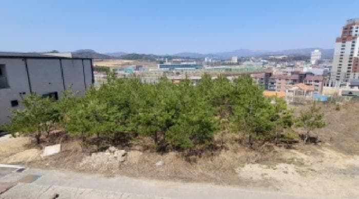 강원특별자치도 평창군 대관령면 횡계리 357-41
