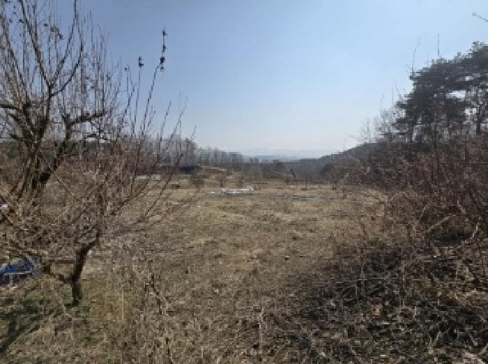충청북도 청주시 상당구 남일면 가산리 372-1