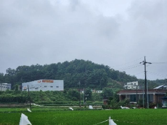충청북도 진천군 진천읍 신정리 516-2