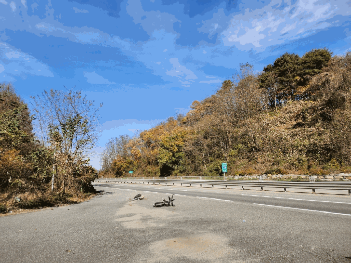 충청북도 괴산군 칠성면 두천리 산20-8