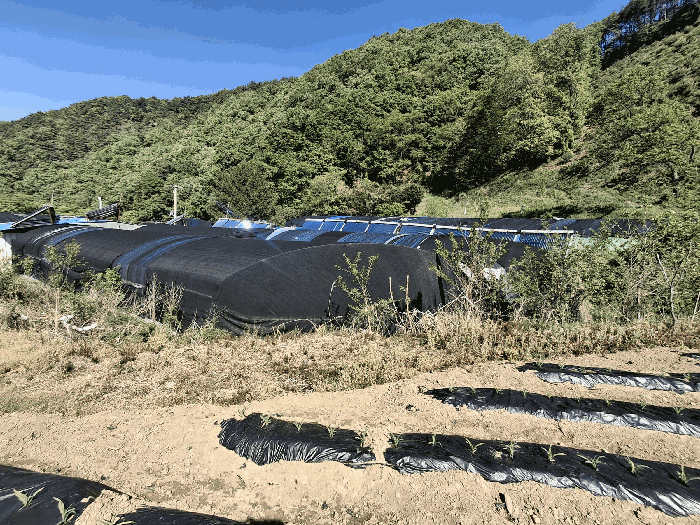 충청북도 괴산군 청천면 귀만리 102