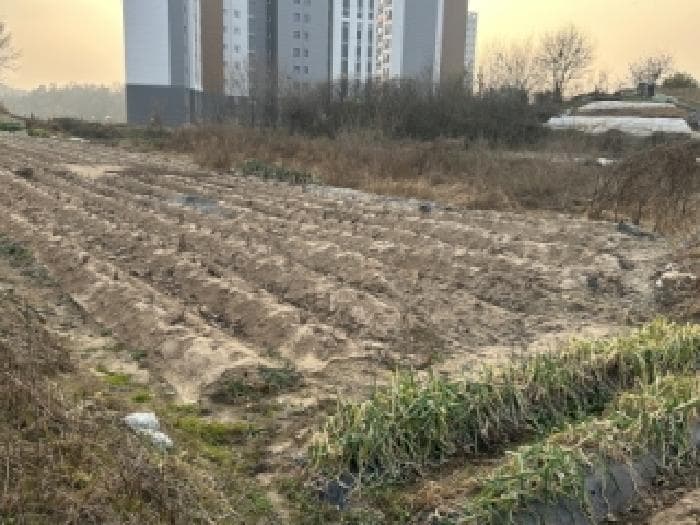 충청북도 증평군 증평읍 증평리 545