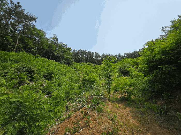 충청북도 청주시 서원구 현도면 우록리 산30