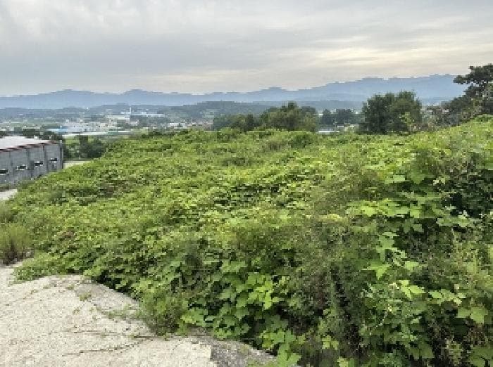 충청북도 증평군 증평읍 내성리 509