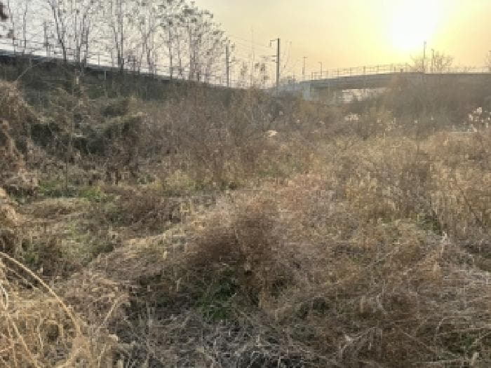 충청북도 증평군 증평읍 초중리 344-11