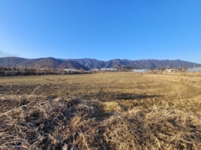 충청북도 증평군 증평읍 연탄리 773-3