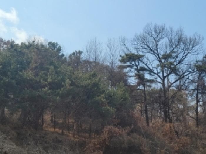 충청북도 괴산군 청안면 장암리 산60-2