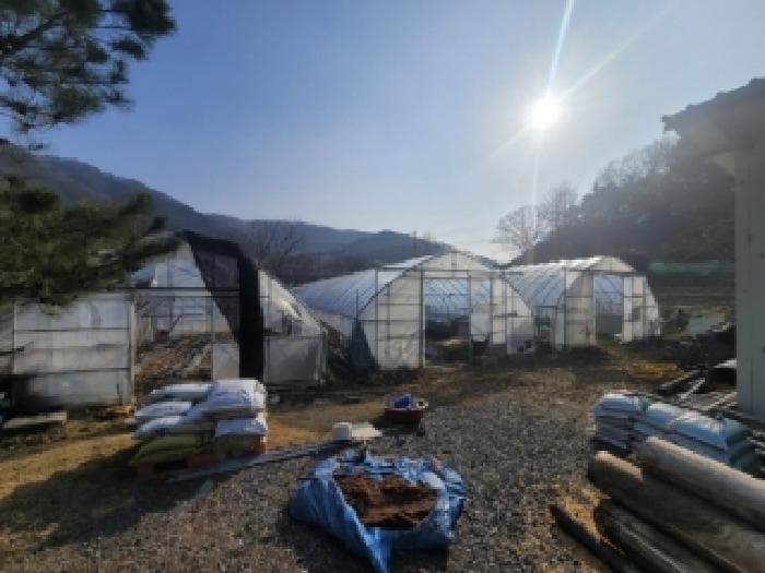 충청북도 괴산군 청안면 문당리 881