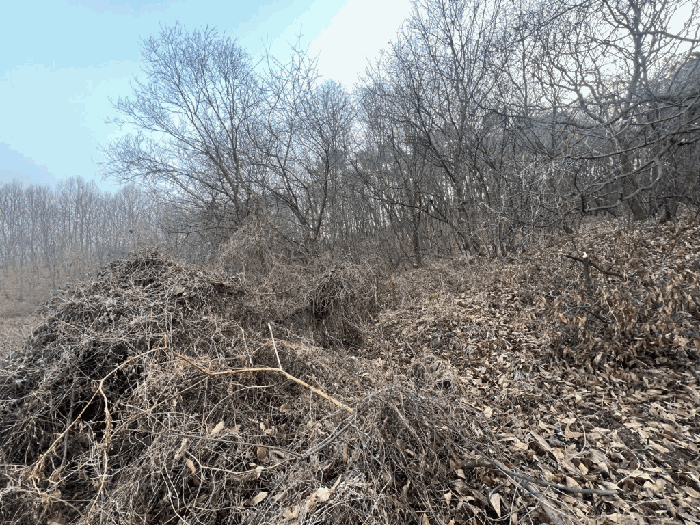 충청북도 청주시 상당구 낭성면 삼산리 산117-1