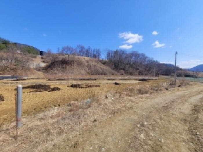 충청북도 괴산군 괴산읍 제월리 503