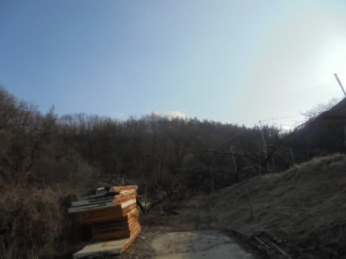 충청북도 음성군 음성읍 용산리 산11-3