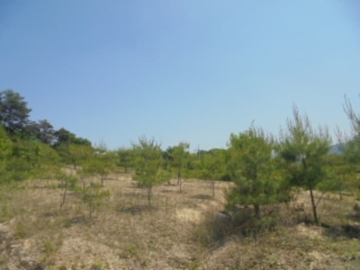 충청북도 충주시 앙성면 사미리 산20-2