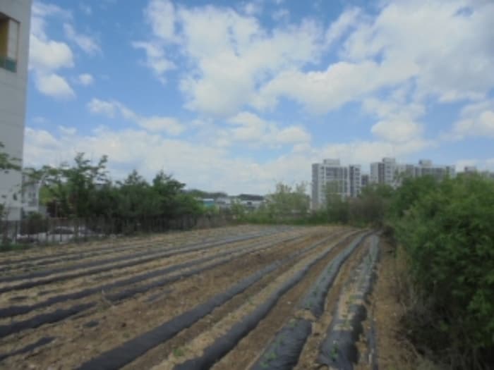 충청북도 충주시 대소원면 본리 669-1