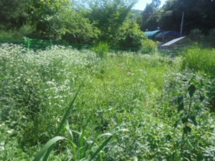 충청북도 음성군 소이면 충도로367번길 22-28