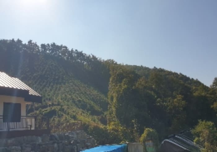 충청북도 음성군 원남면 덕정리 산80