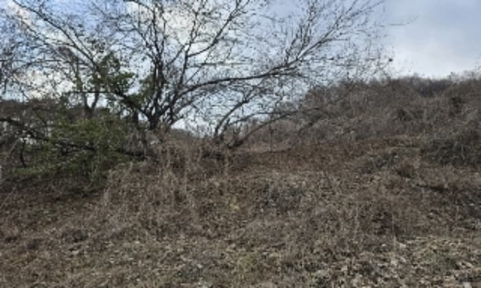 충청북도 충주시 종민동 713