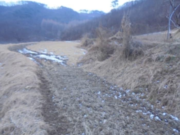 충청북도 충주시 앙성면 중전리 750