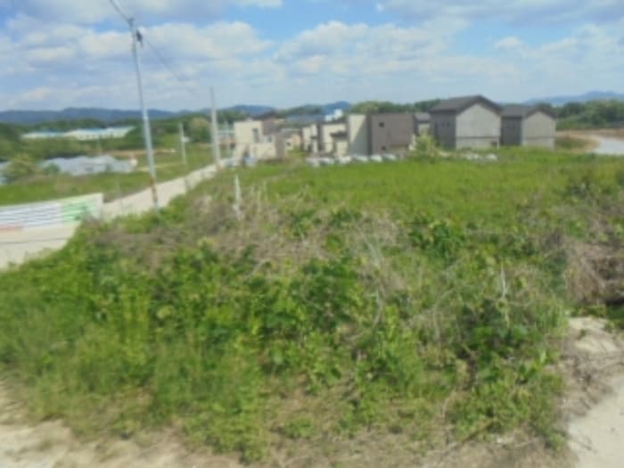 충청북도 음성군 대소면 소석리 262-1 에이동
