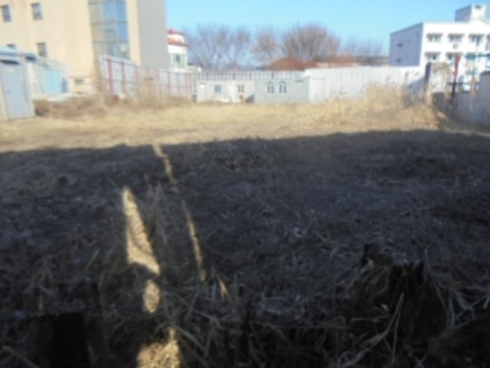 충청북도 충주시 주덕읍 신양리 166-1