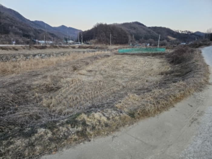 충청북도 음성군 원남면 삼용리 241