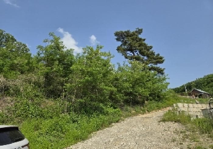 충청북도 충주시 엄정면 신만리 452-13