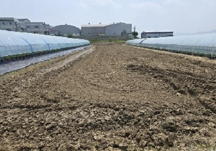 충청북도 음성군 대소면 삼정리 718-2