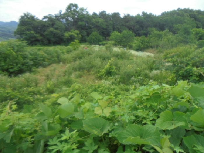충청북도 음성군 원남면 문암리 1144
