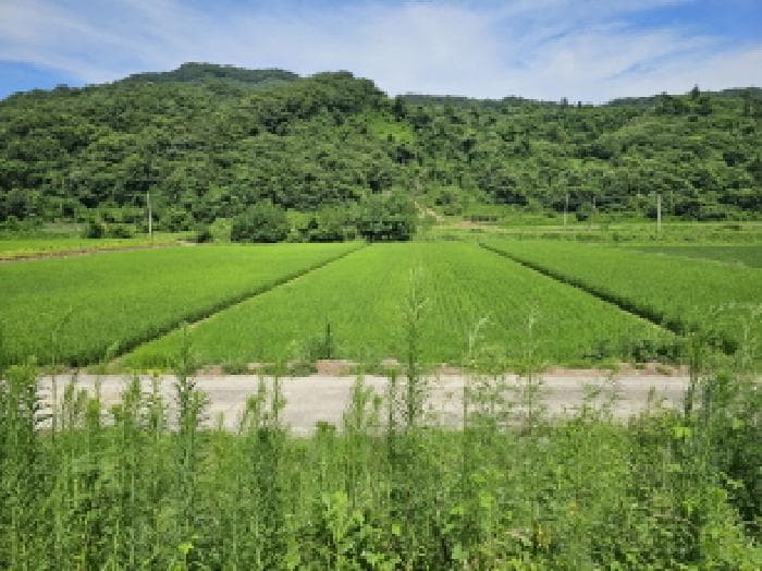 충청북도 충주시 소태면 야동리 657