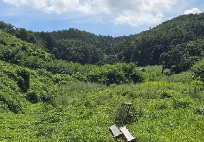 충청북도 음성군 감곡면 오향리 138