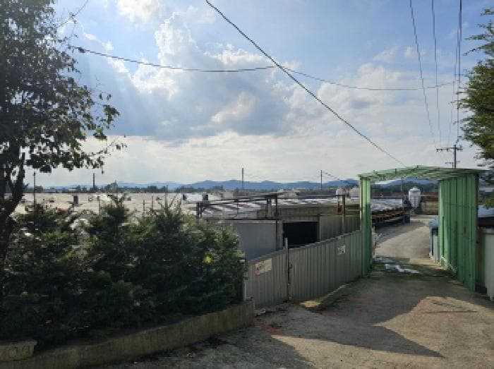 충청북도 음성군 삼성면 대정리 252-4