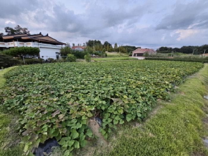 충청북도 충주시 동량면 용교리 302-1