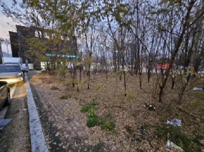 충청북도 음성군 금왕읍 금석리 516