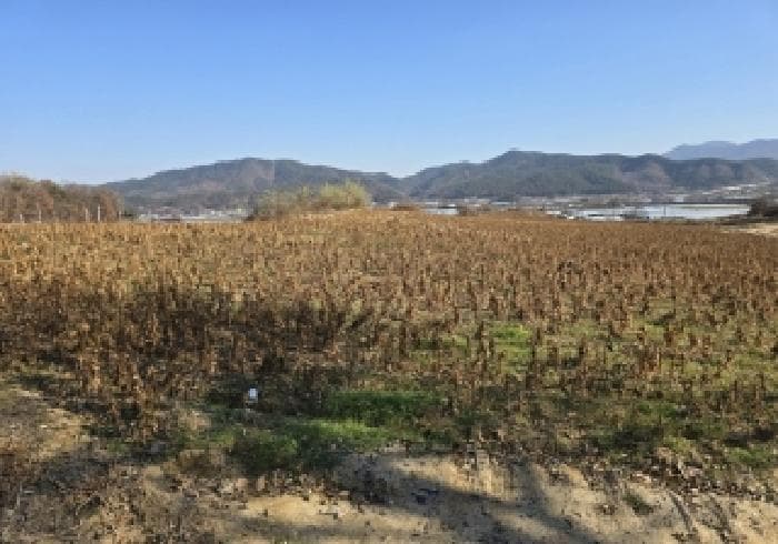 충청북도 음성군 금왕읍 정생리 620