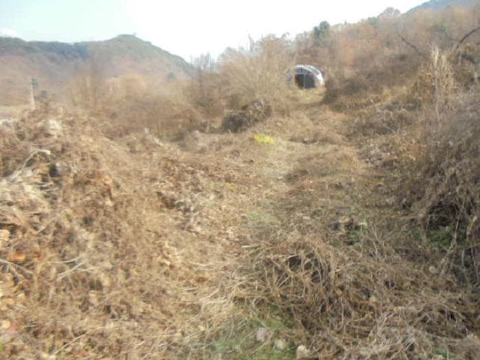 충청북도 충주시 수안보면 온천리 882