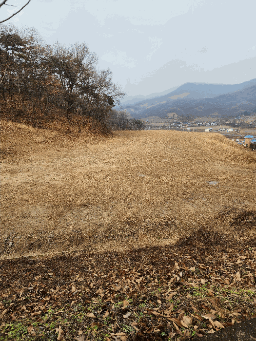 충청북도 음성군 소이면 비산리 959-1