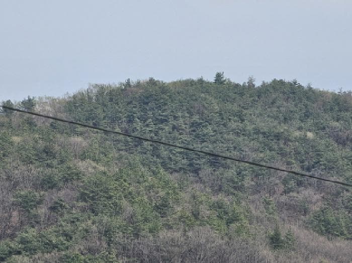 충청북도 충주시 앙성면 조천리 산39-13