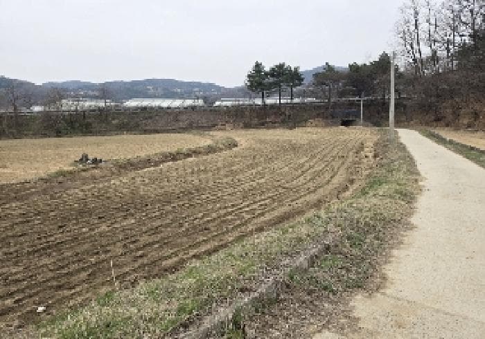 충청북도 음성군 삼성면 대사리 21-1