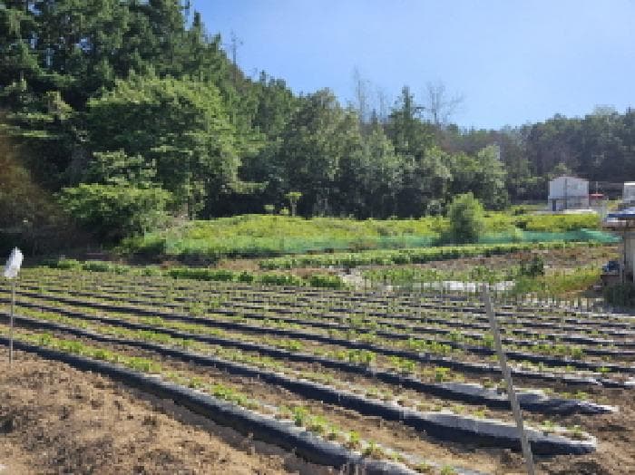 충청북도 충주시 대소원면 만정리 362-5