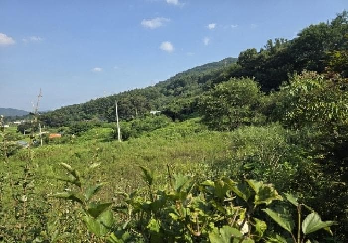 충청북도 충주시 앙성면 돈산리 122