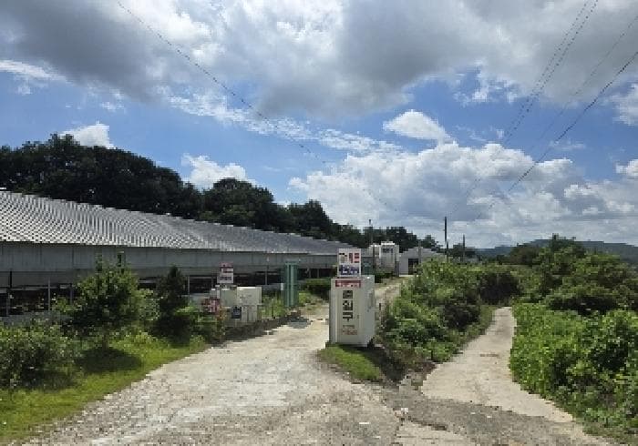 충청북도 음성군 원남면 보룡리 42-6