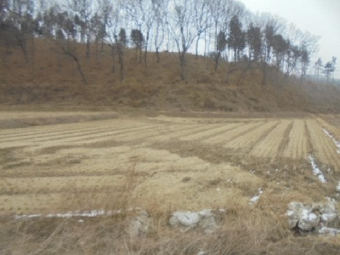 충청북도 충주시 신니면 문락리 39