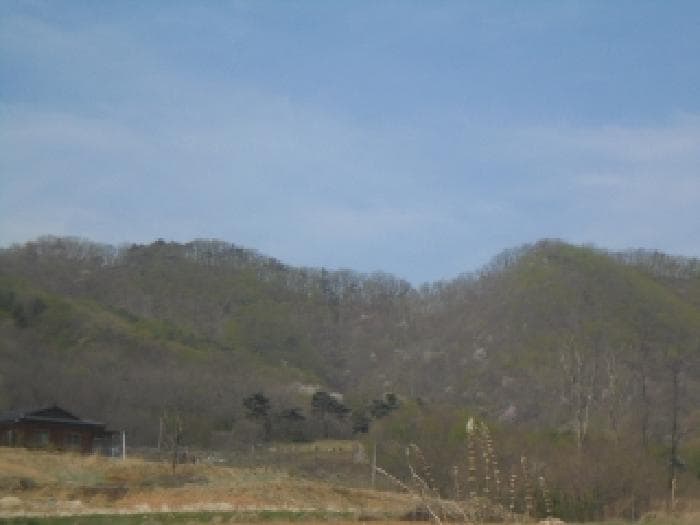 충청북도 음성군 음성읍 용산리 산182