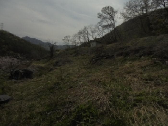 충청북도 충주시 앙성면 용대리 3