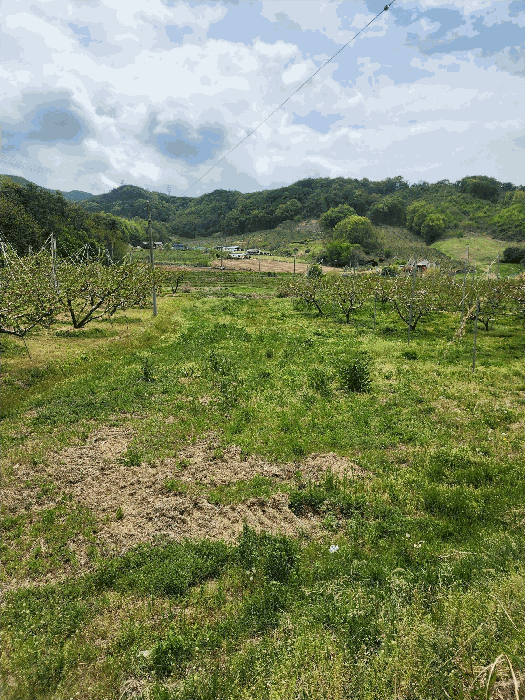 충청북도 음성군 감곡면 문촌리 417-2