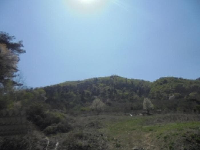 충청북도 음성군 소이면 충도리 산105-2