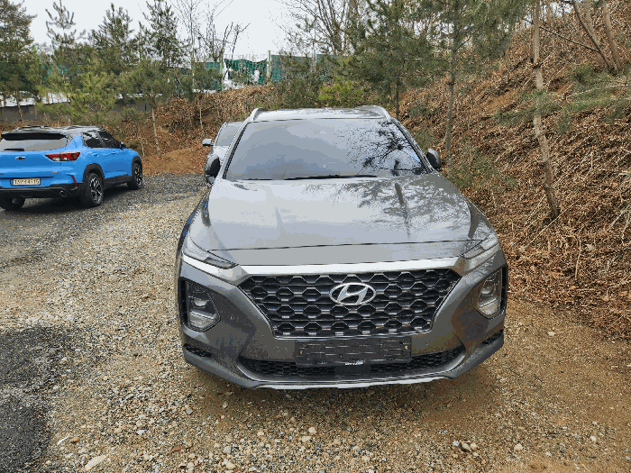 현대 싼타페(SANTAFE) 2019년식