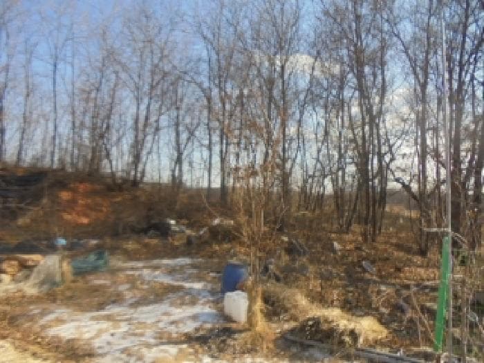 충청북도 음성군 금왕읍 내곡리 산19-24