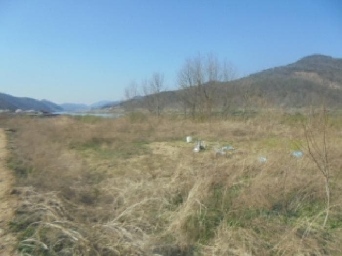 충청북도 충주시 앙성면 조천리 285-13